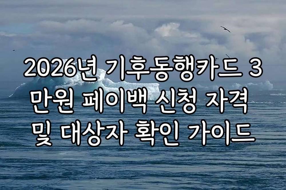 2026년 기후동행카드 3만원 페이백 신청 자격 및 대상자 확인 가이드