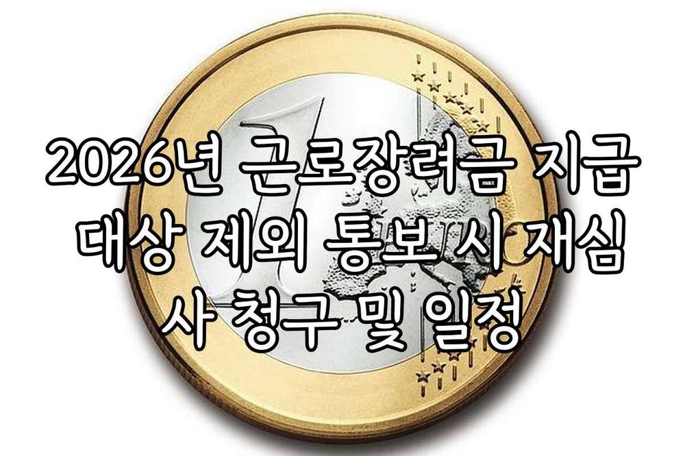 2026년 근로장려금 지급 대상 제외 통보 시 재심사 청구 및 일정