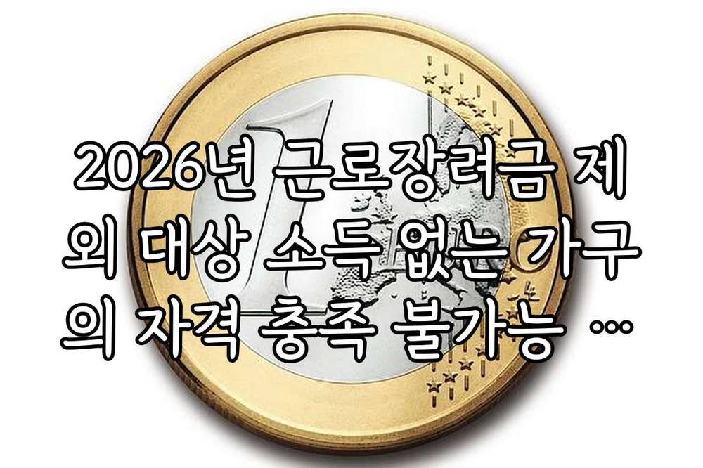 2026년 근로장려금 제외 대상 소득 없는 가구의 자격 충족 불가능 이유