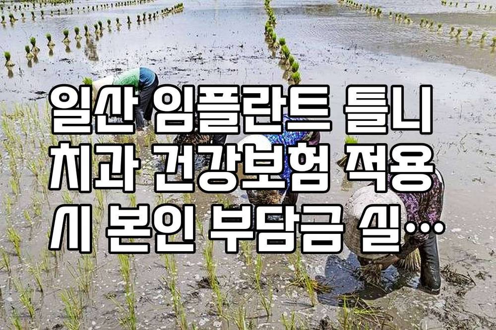 일산 임플란트 틀니 치과 건강보험 적용 시 본인 부담금 실시간 계산