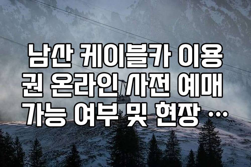 남산 케이블카 이용권 온라인 사전 예매 가능 여부 및 현장 발권 팁