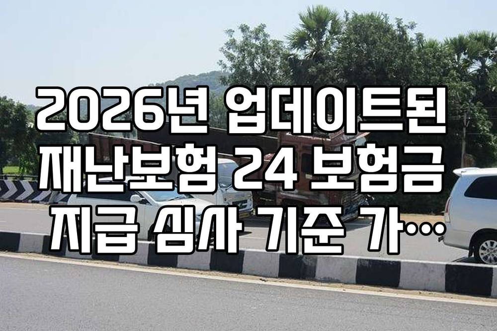 2026년 업데이트된 재난보험 24 보험금 지급 심사 기준 가이드