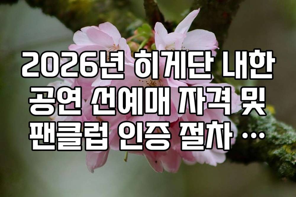2026년 히게단 내한 공연 선예매 자격 및 팬클럽 인증 절차 정리