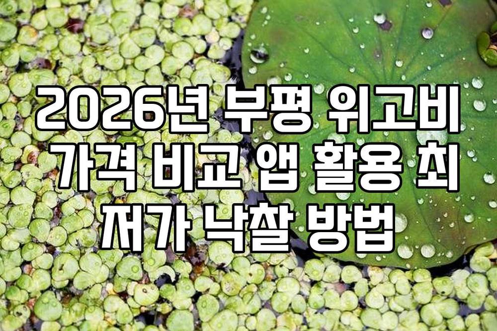 2026년 부평 위고비 가격 비교 앱 활용 최저가 낙찰 방법
