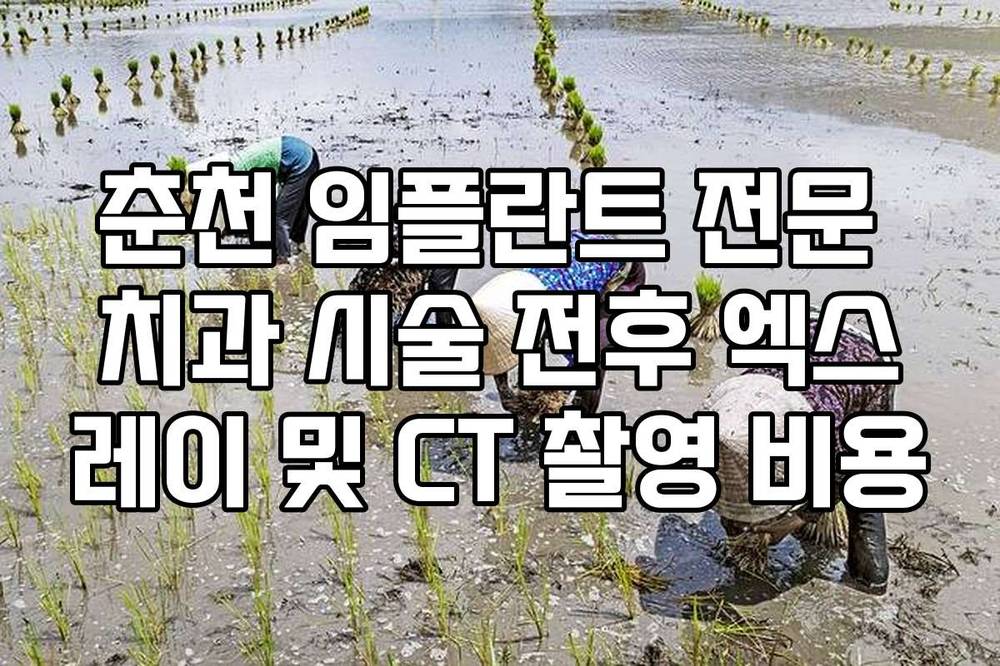 춘천 임플란트 전문 치과 시술 전후 엑스레이 및 CT 촬영 비용