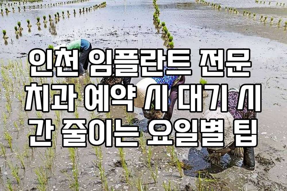 인천 임플란트 전문 치과 예약 시 대기 시간 줄이는 요일별 팁
