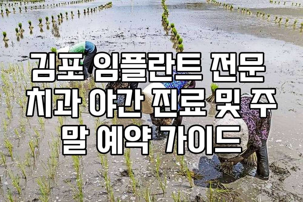 김포 임플란트 전문 치과 야간 진료 및 주말 예약 가이드