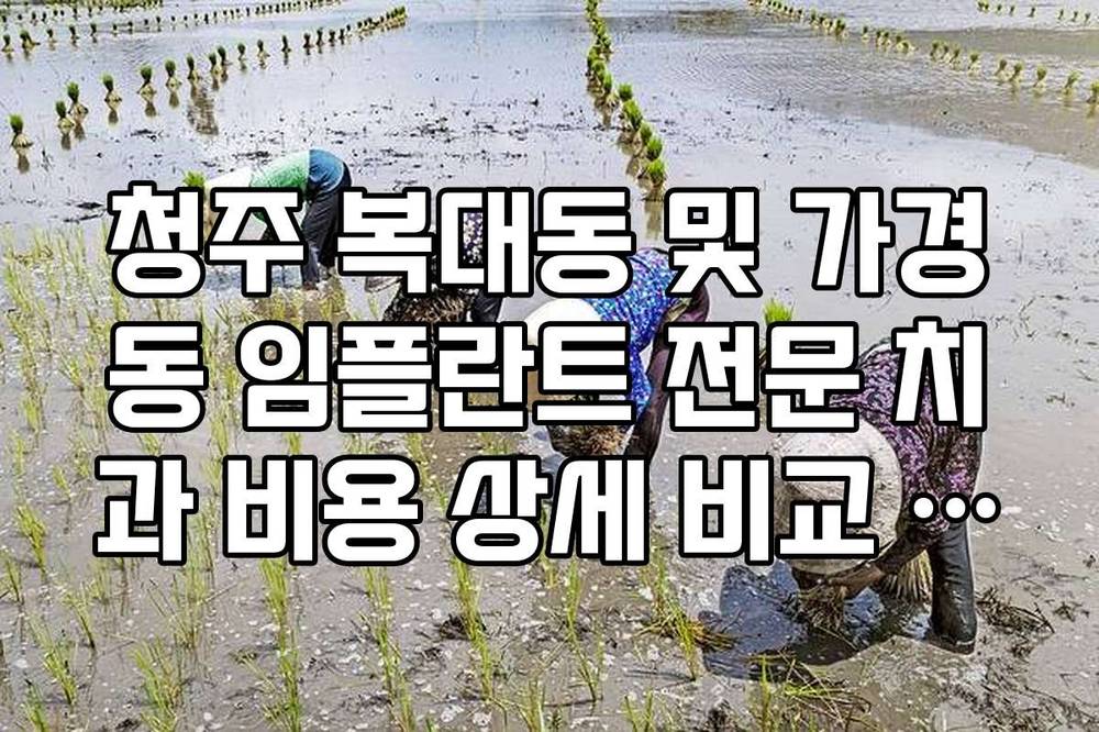 청주 복대동 및 가경동 임플란트 전문 치과 비용 상세 비교 리스트