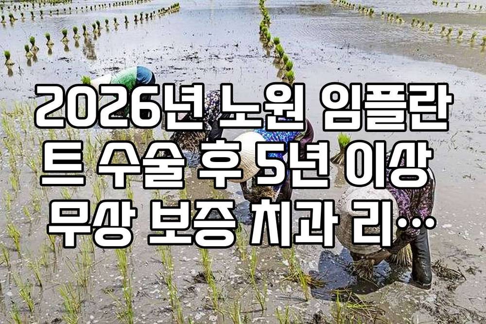 2026년 노원 임플란트 수술 후 5년 이상 무상 보증 치과 리스트