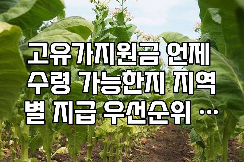 고유가지원금 언제 수령 가능한지 지역별 지급 우선순위 확인법