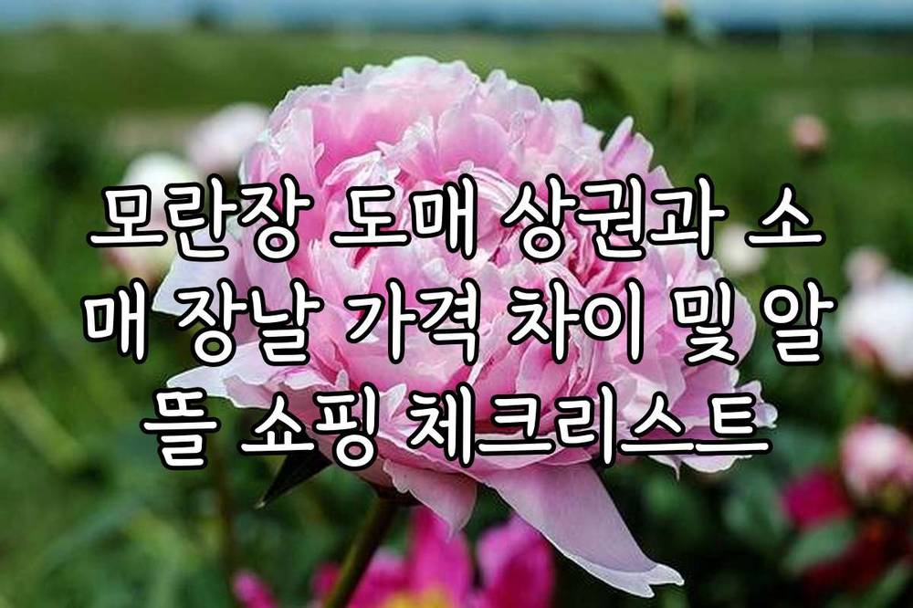 모란장 도매 상권과 소매 장날 가격 차이 및 알뜰 쇼핑 체크리스트