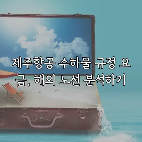 제주항공 수하물 규정 요금, 해외 노선 분석하기