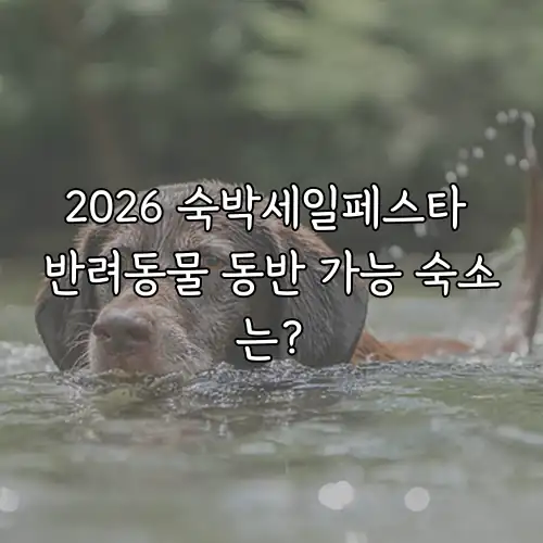 2026 숙박세일페스타 반려동물 동반 가능 숙소는?