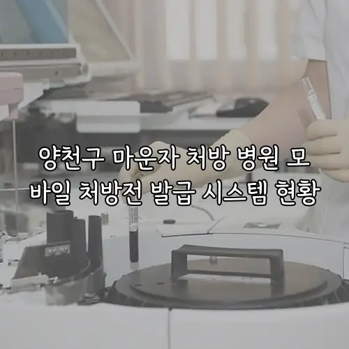 양천구 마운자 처방 병원 모바일 처방전 발급 시스템 현황