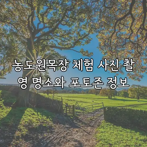 농도원목장 체험 사진 촬영 명소와 포토존 정보