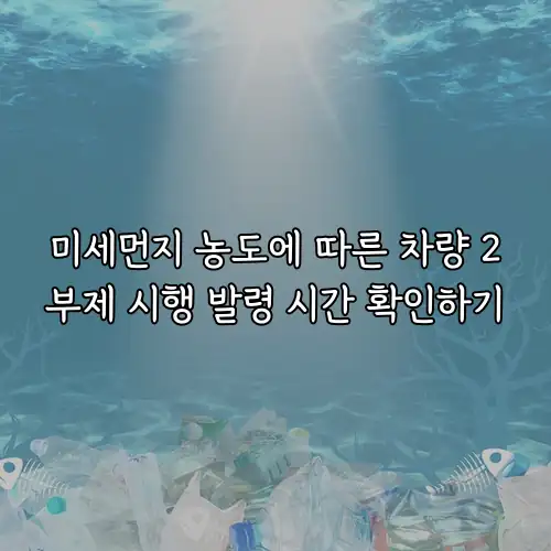 미세먼지 농도에 따른 차량 2부제 시행 발령 시간 확인하기