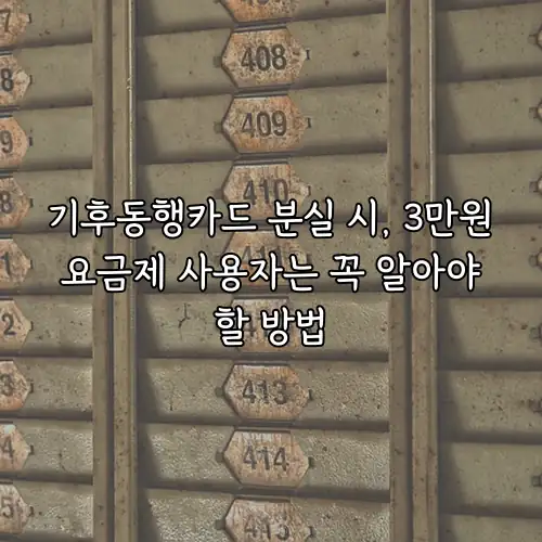기후동행카드 분실 시, 3만원 요금제 사용자는 꼭 알아야 할 방법