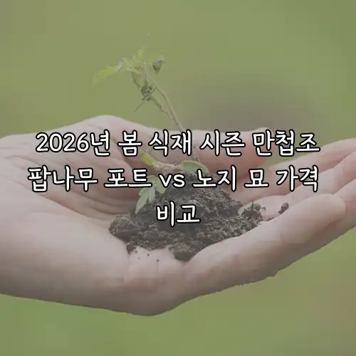 2026년 봄 식재 시즌 만첩조팝나무 포트 vs 노지 묘 가격 비교