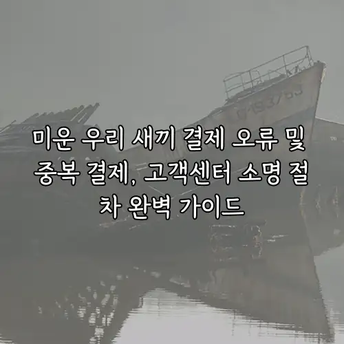 미운 우리 새끼 결제 오류 및 중복 결제, 고객센터 소명 절차 완벽 가이드