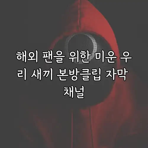 해외 팬을 위한 미운 우리 새끼 본방클립 자막 채널