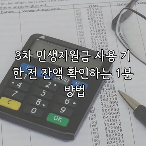 3차 민생지원금 사용 기한 전 잔액 확인하는 1분 방법