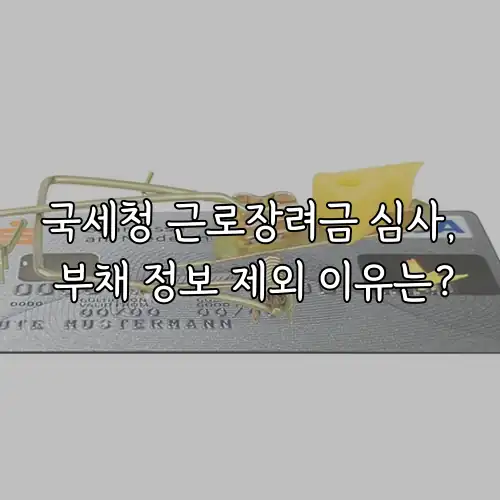 국세청 근로장려금 심사, 부채 정보 제외 이유는?