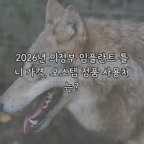 2026년 의정부 임플란트 틀니 가격, 오스템 정품 사용처는?