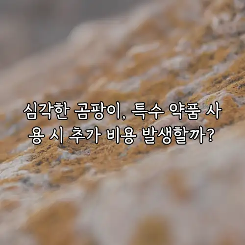 심각한 곰팡이, 특수 약품 사용 시 추가 비용 발생할까?