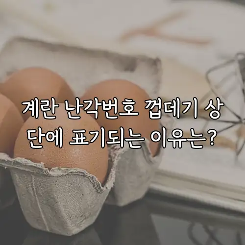 계란 난각번호 껍데기 상단에 표기되는 이유는?