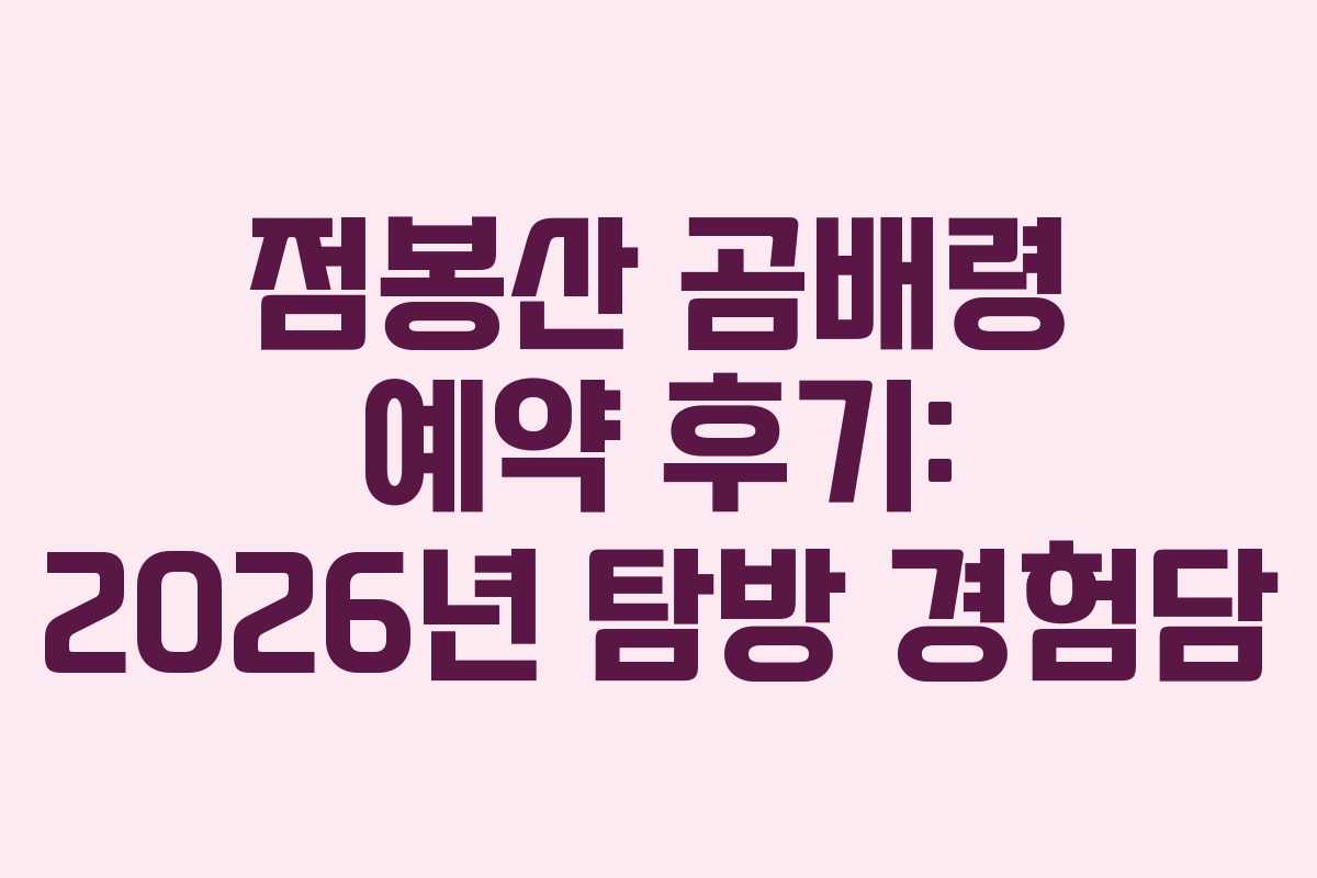 점봉산-곰배령-예약-후기-2026년-탐방-경험담