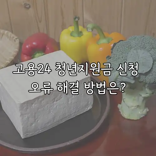 고용24 청년지원금 신청 오류 해결 방법은?