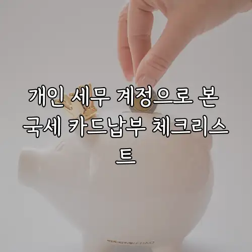 개인 세무 계정으로 본 국세 카드납부 체크리스트