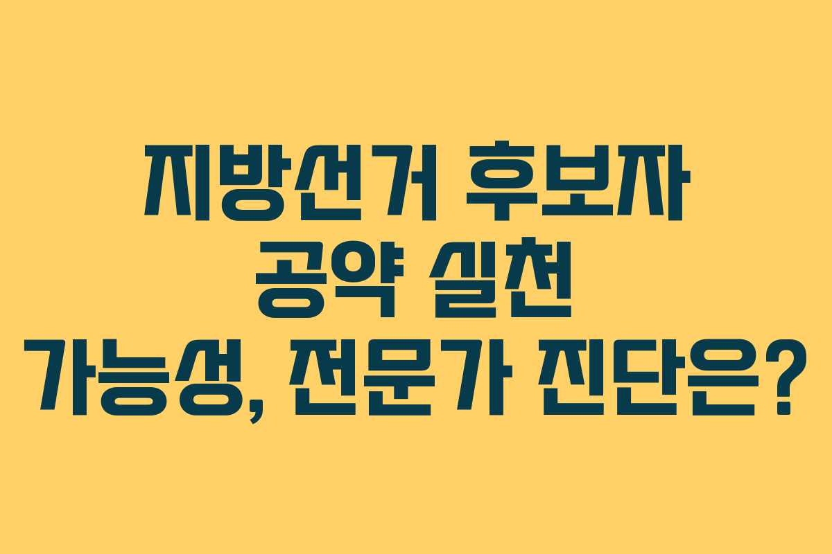 지방선거-후보자-공약-실천-가능성,-전문가-진단은