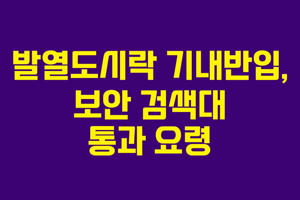 발열도시락-기내반입,-보안-검색대-통과-요령