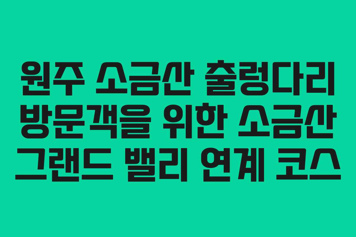 원주-소금산-출렁다리-방문객을-위한-소금산-그랜드-밸리-연계-코스