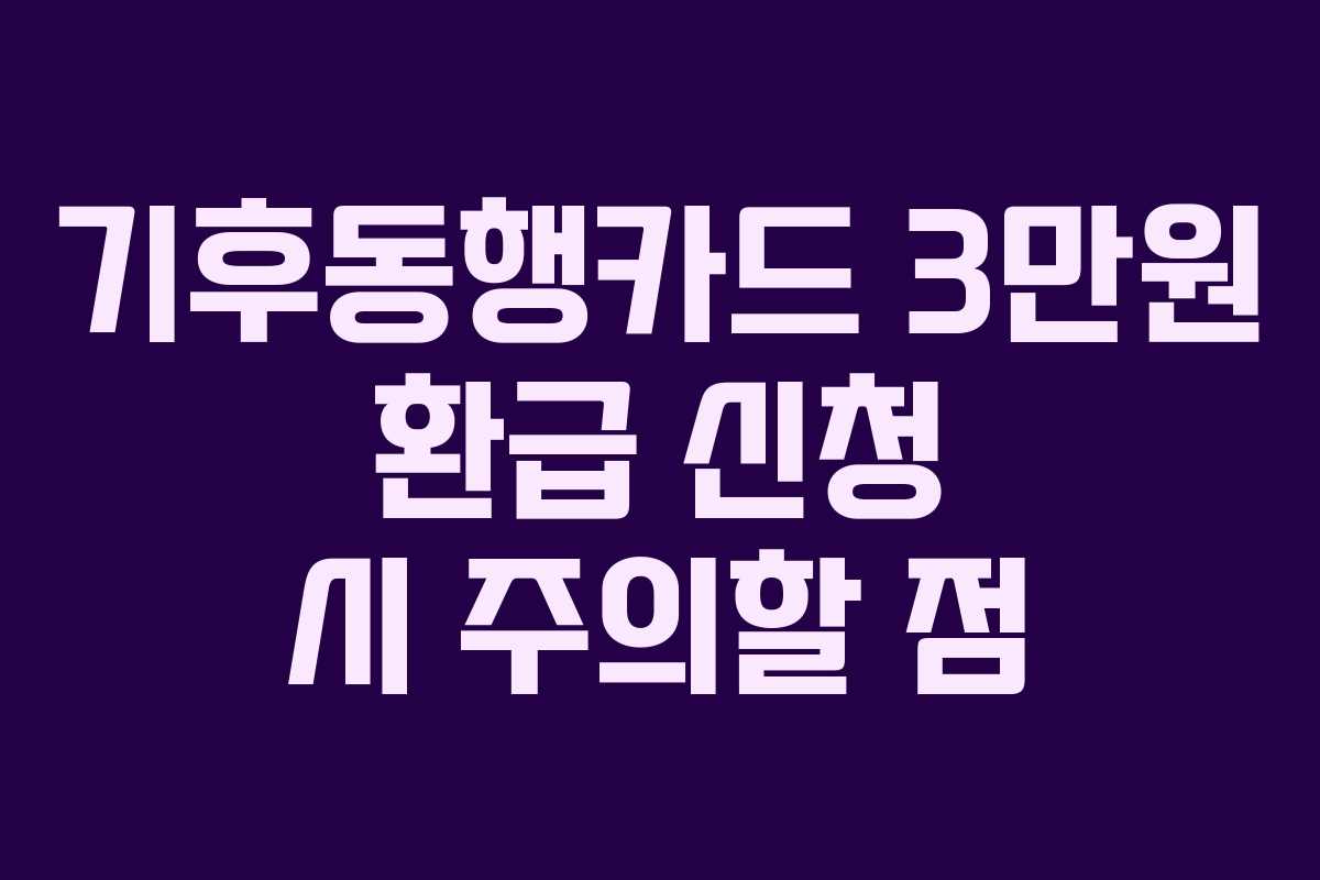 기후동행카드-3만원-환급-신청-시-주의할-점