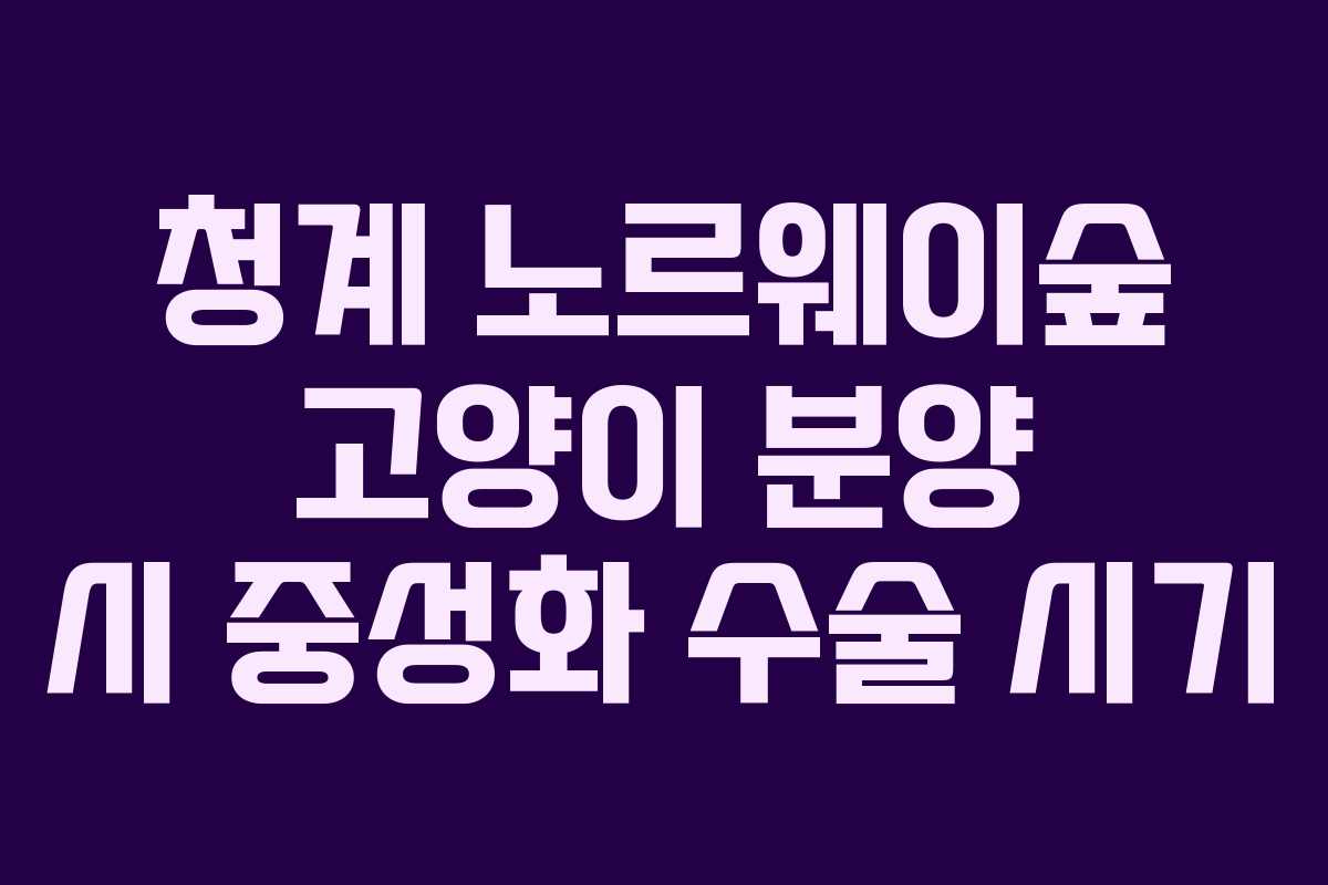 청계-노르웨이숲-고양이-분양-시-중성화-수술-시기