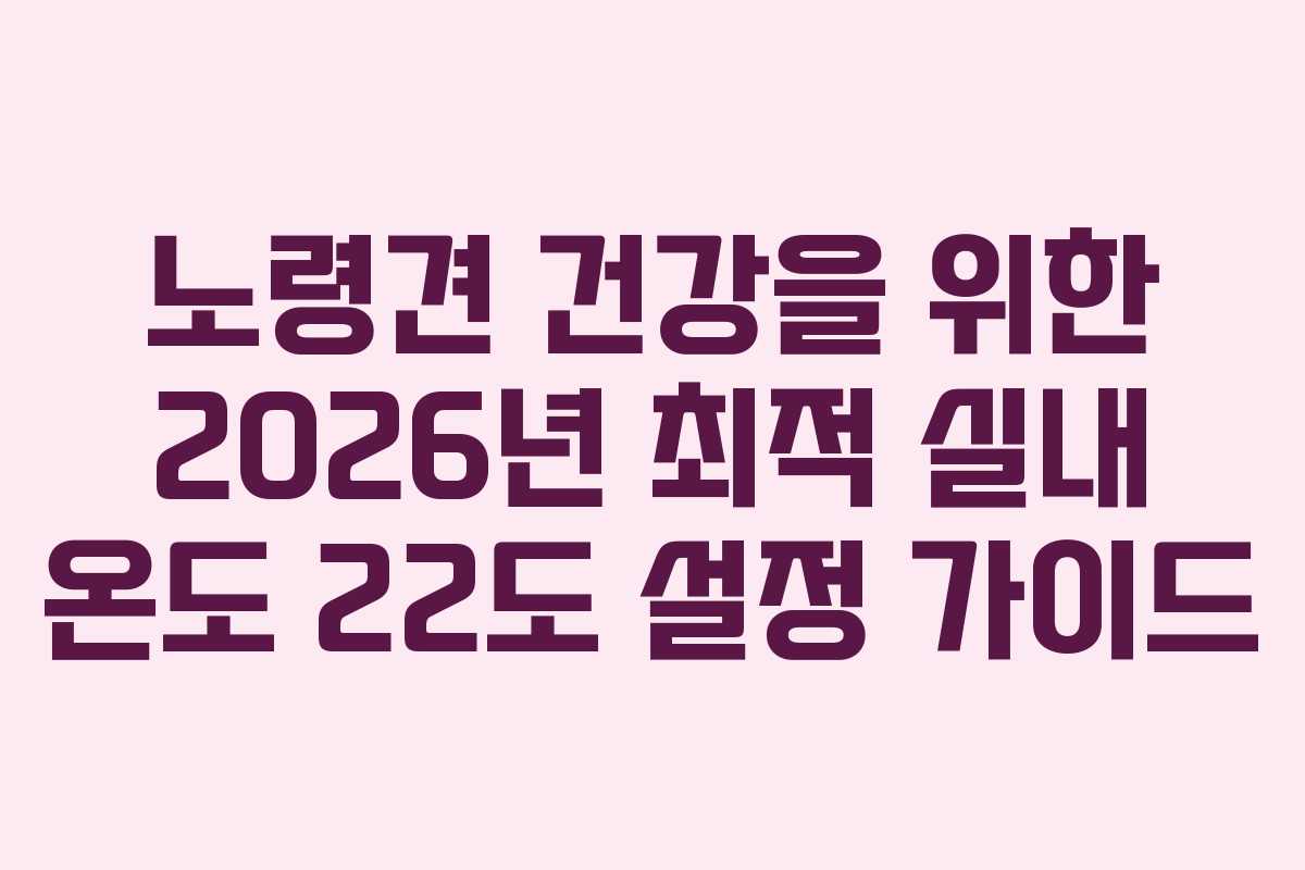 노령견-건강을-위한-2026년-최적-실내-온도-22도-설정-가이드
