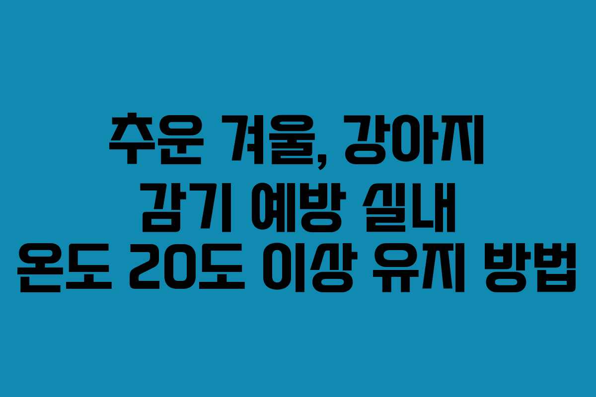 추운-겨울,-강아지-감기-예방-실내-온도-20도-이상-유지-방법